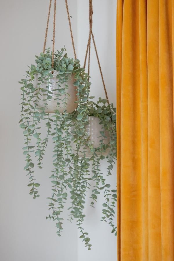 City Studio With Ac Czarnowiejska By Renters คราคูฟ ภายนอก รูปภาพ